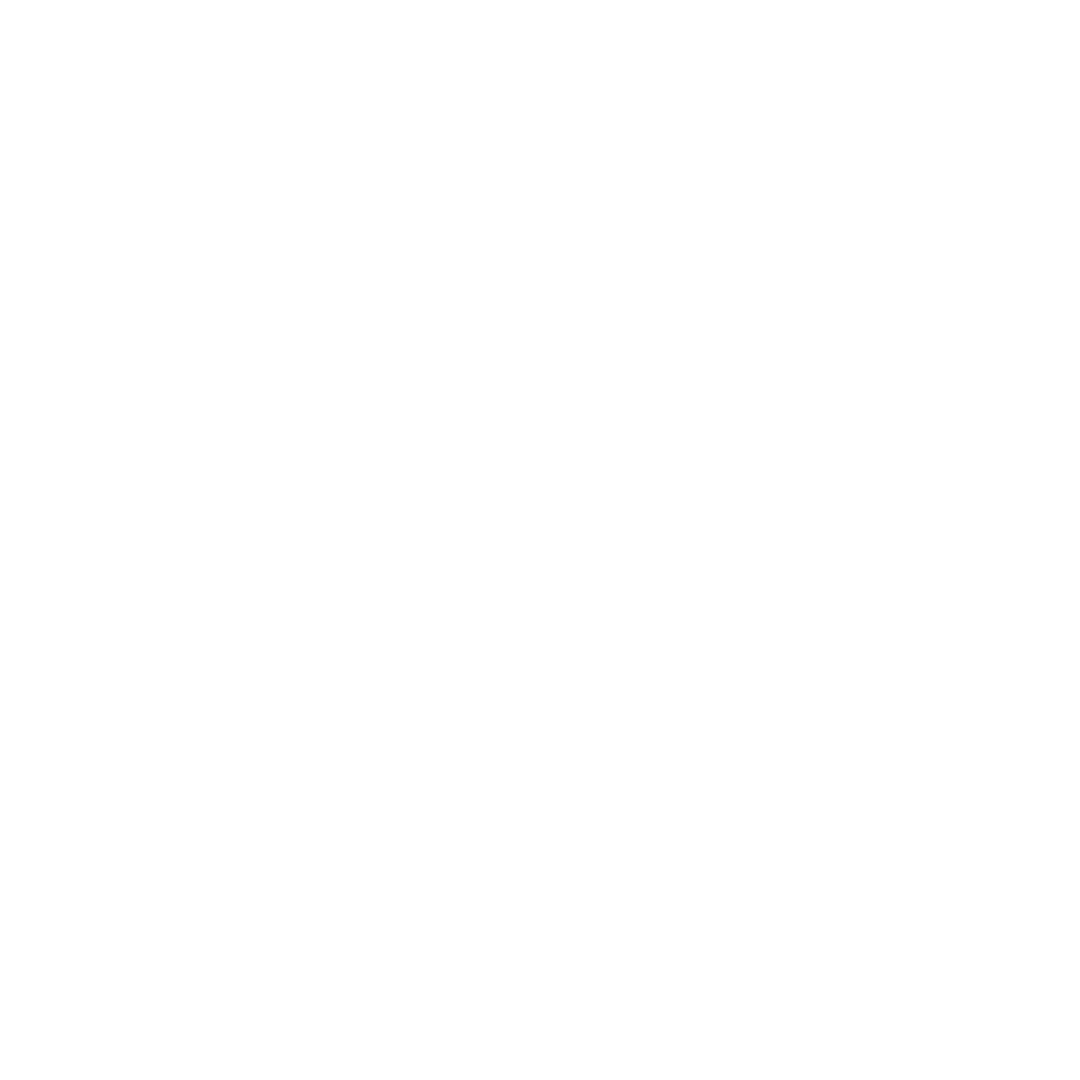 Dragon Analytics Logo
